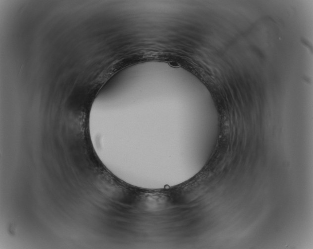 X0000091300275200708311343