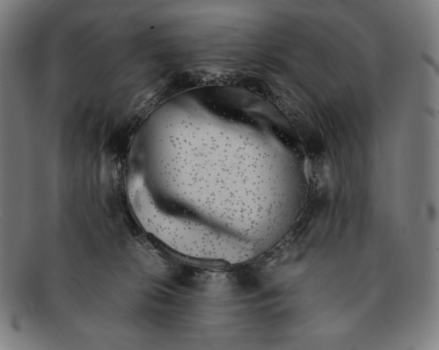 X0000091300276200708311343