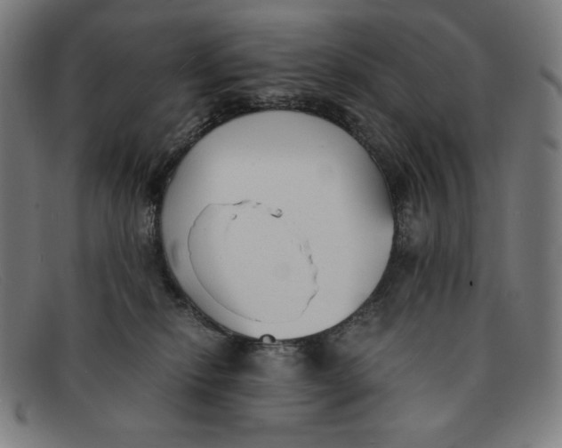 X0000091300278200708311343