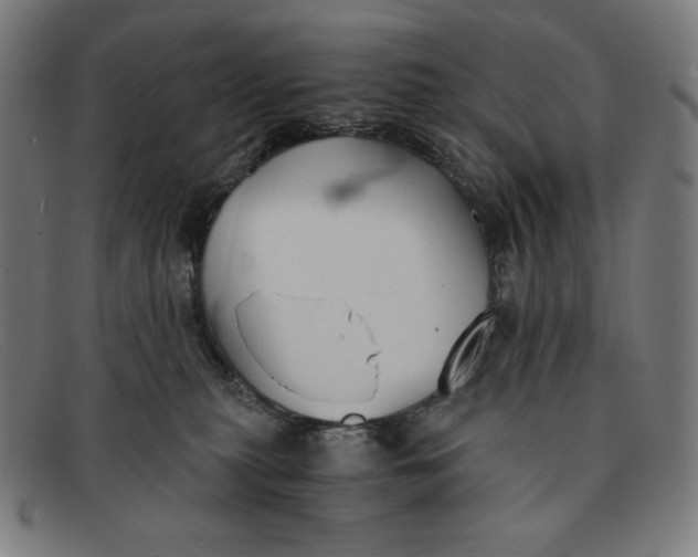 X0000091300279200708311343