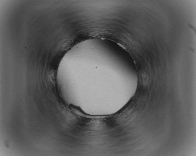 X0000091300280200708311343