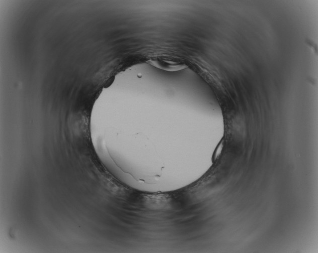 X0000091300281200708311343