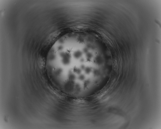 X0000091300284200708311343