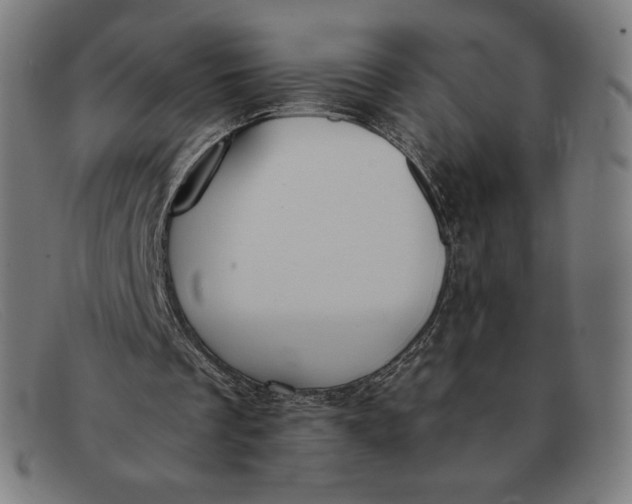 X0000091300289200708311342