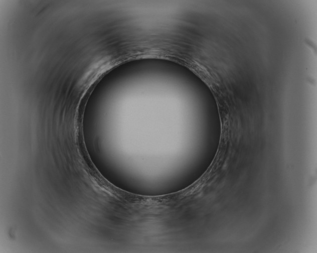 X0000091300290200708311342