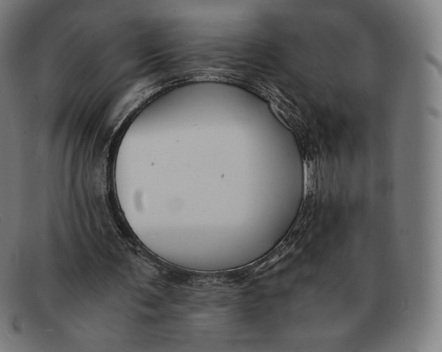 X0000091300291200708311342