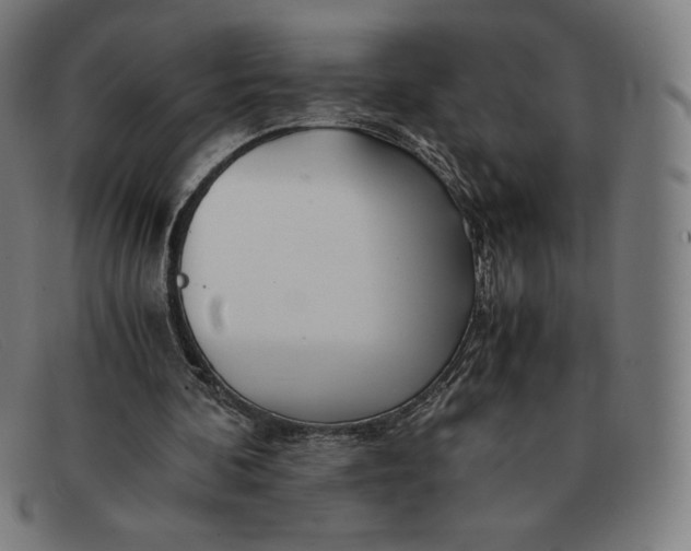 X0000091300292200708311342