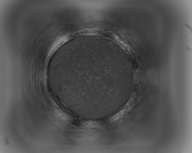 X0000091300293200708311342