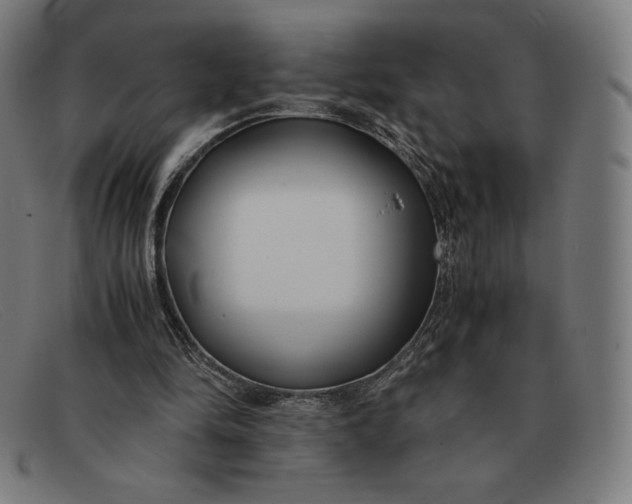 X0000091300294200708311342