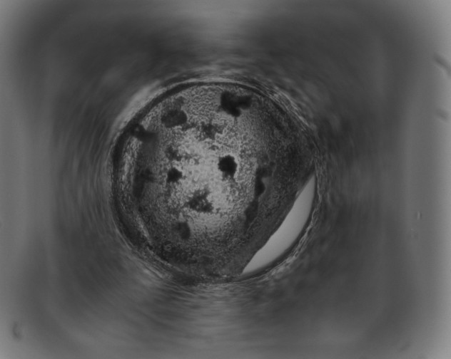 X0000091300295200708311342