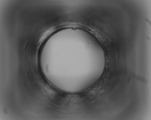 X0000091300296200708311342