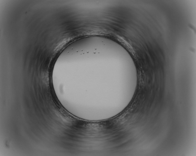 X0000091300298200708311342