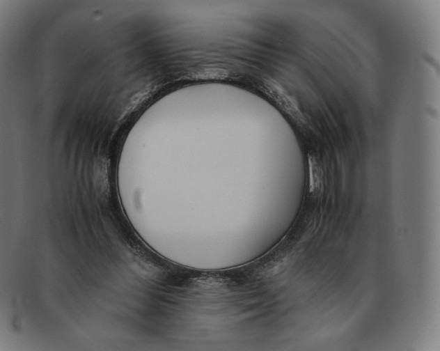 X0000091300300200708311342