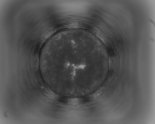 X0000091300301200708311342