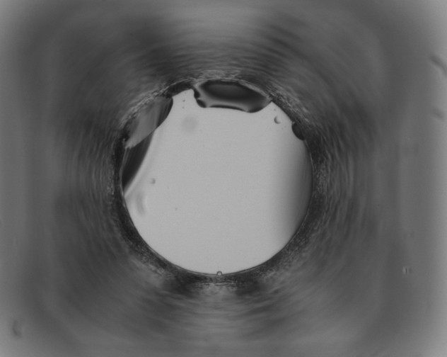 X0000091300303200708311342