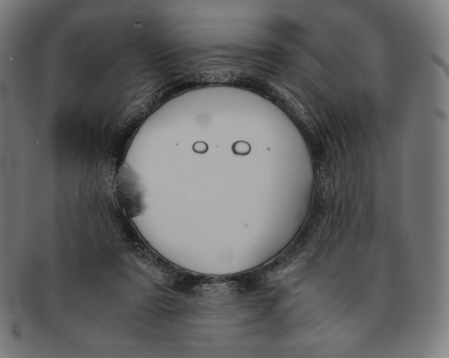 X0000091300307200708311342