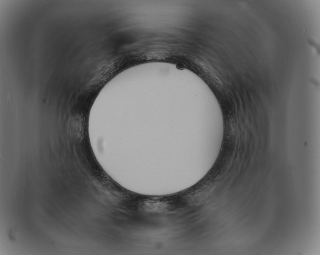 X0000091300311200708311342