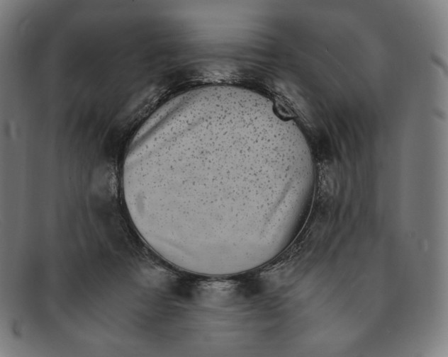 X0000091300313200708311342