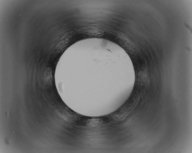 X0000091300320200708311342