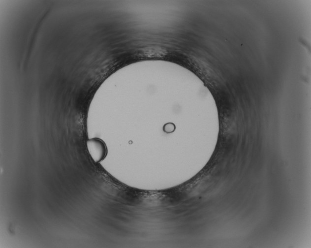 X0000091300321200708311342