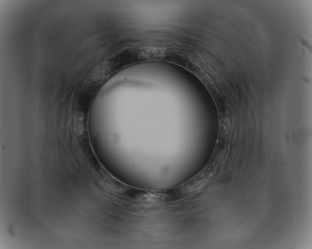 X0000091300323200708311342