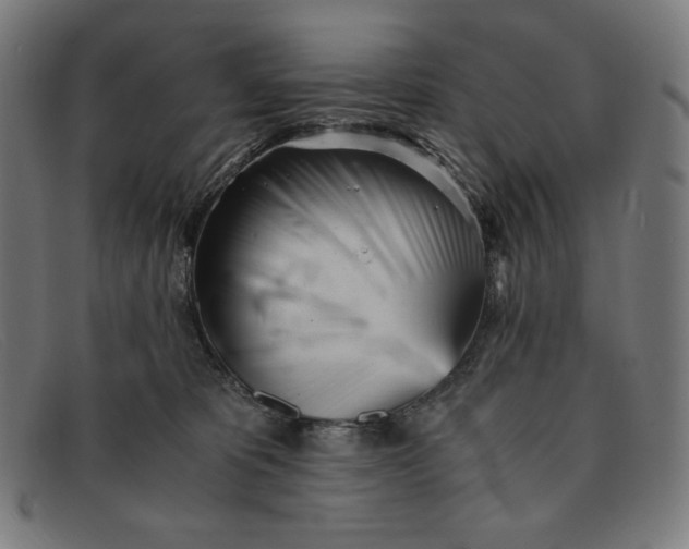 X0000091300325200708311342