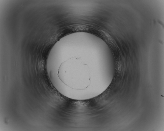 X0000091300326200708311342