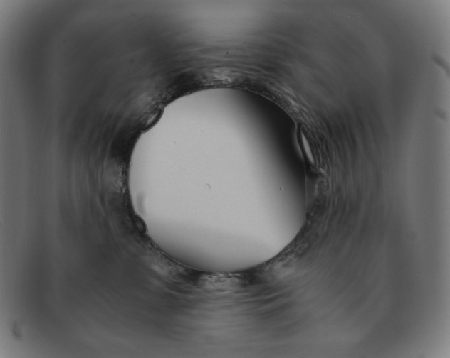 X0000091300331200708311342