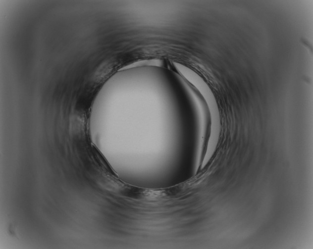 X0000091300333200708311342