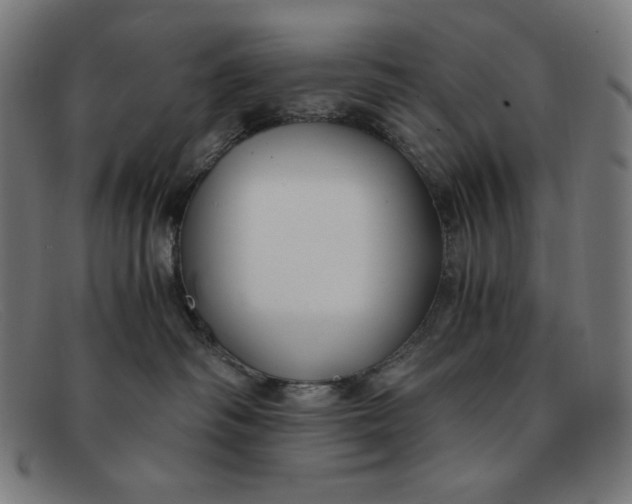 X0000091300334200708311342