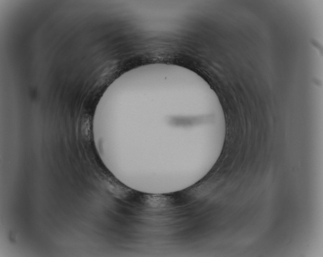 X0000091300336200708311342