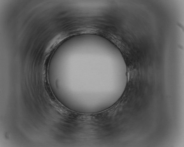 X0000091300339200708311341