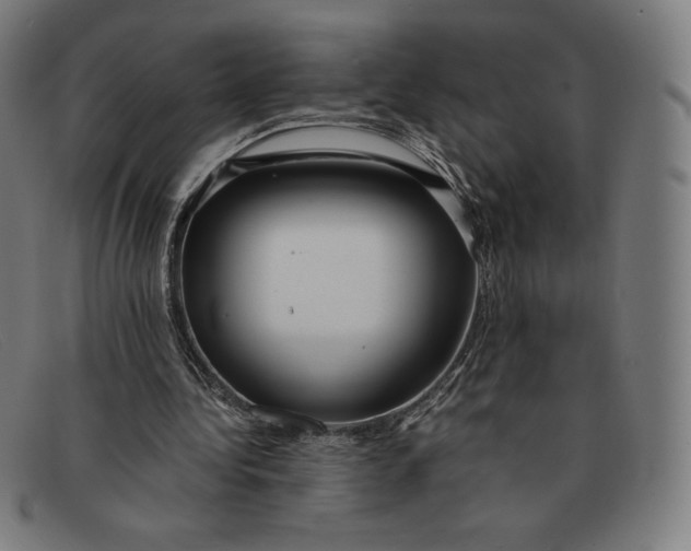 X0000091300340200708311341