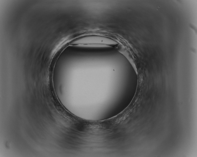 X0000091300344200708311341