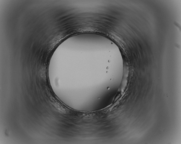 X0000091300345200708311341