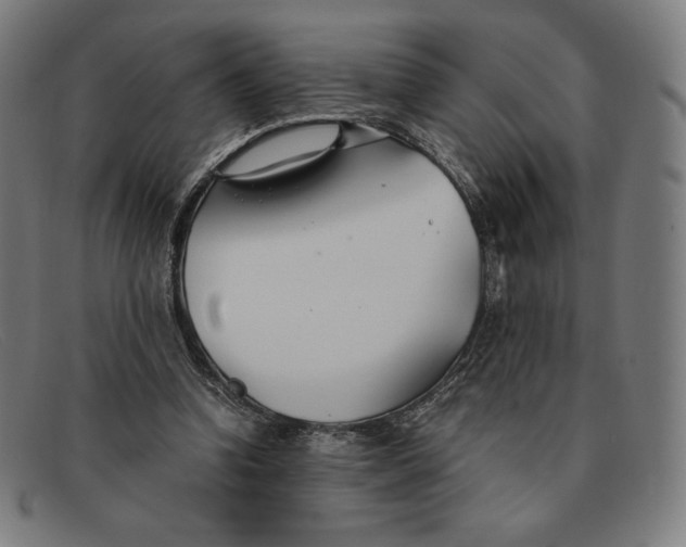 X0000091300346200708311341