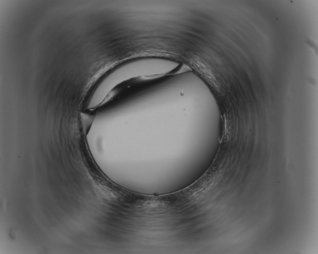 X0000091300348200708311341