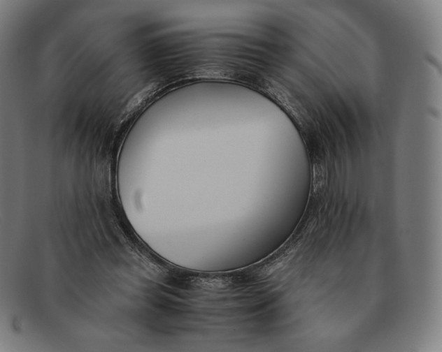 X0000091300349200708311341