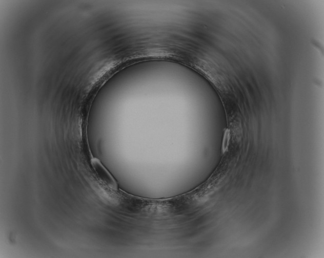 X0000091300350200708311341