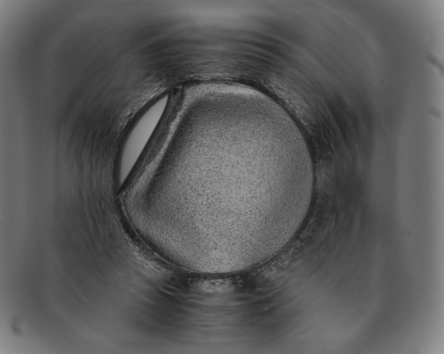 X0000091300353200708311341