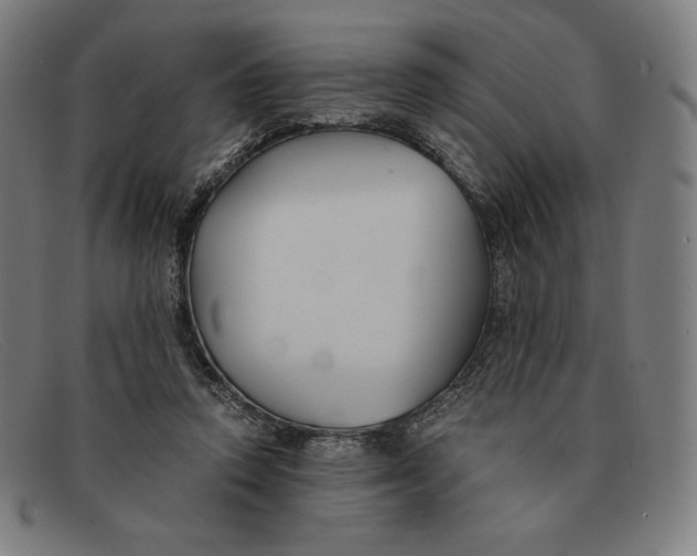 X0000091300354200708311341