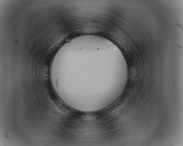 X0000091300356200708311341