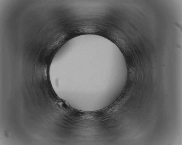 X0000091300358200708311341