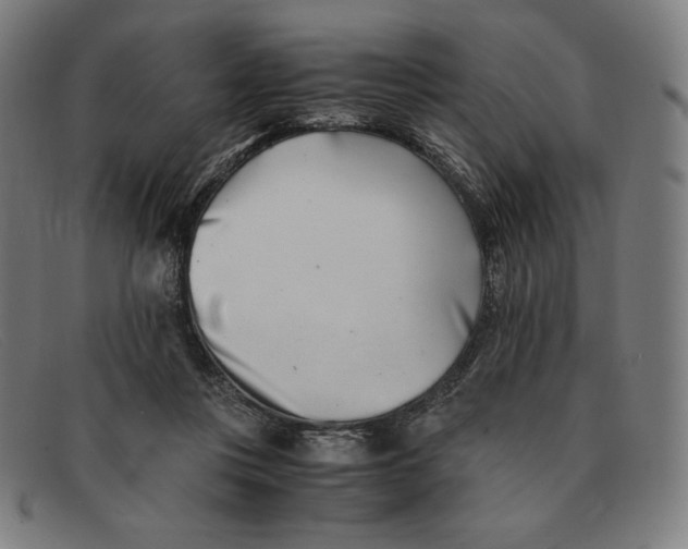 X0000091300359200708311341