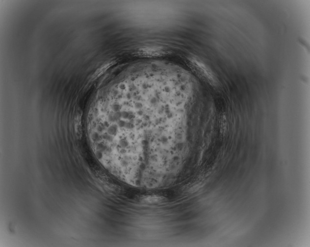 X0000091300360200708311341