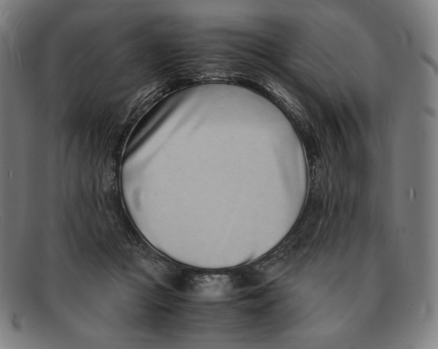 X0000091300361200708311341