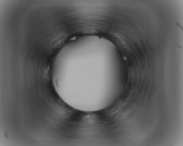 X0000091300364200708311341