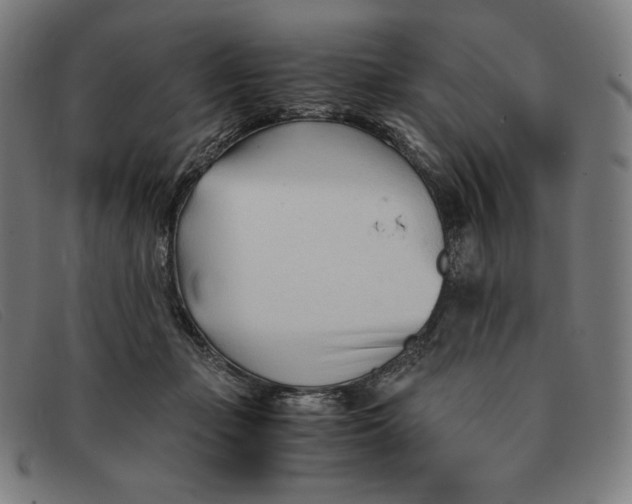 X0000091300365200708311341