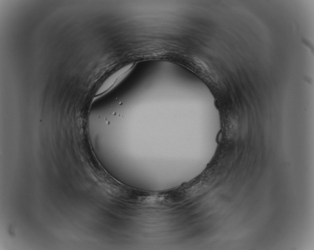 X0000091300366200708311341