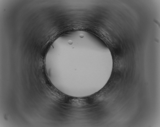 X0000091300367200708311341